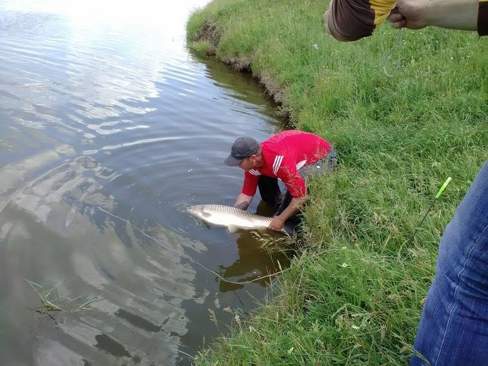 Pescuit---  Balta Sericu  Blejesti --23. 06 .2015. - ELIBERAT !